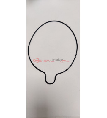 Oring cover frizione