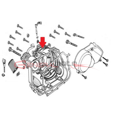 Oring cover frizione