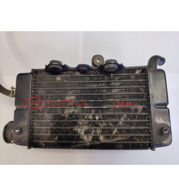 Radiatore destro completo Africa Twin  750