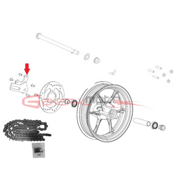 Supporto pinza freno posteriore