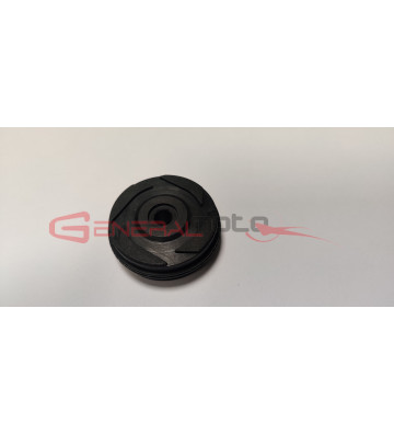 Guida catena distribuzione 110 4S