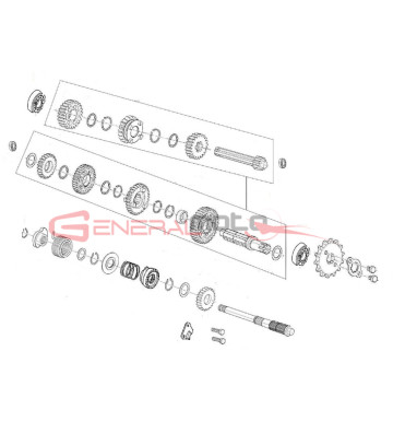 Kit cambio completo 110 4S