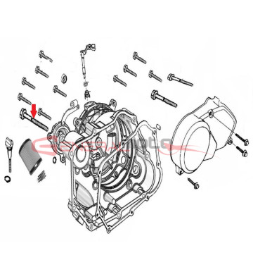 Vite motore 160 ZS M6x125