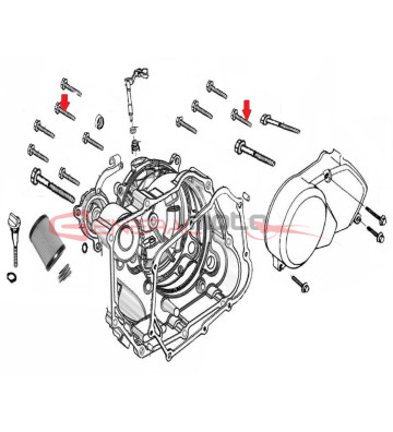 Vite motore 160 ZS M6x32