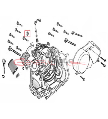 Paraolio 16.8x24x5 160 4S