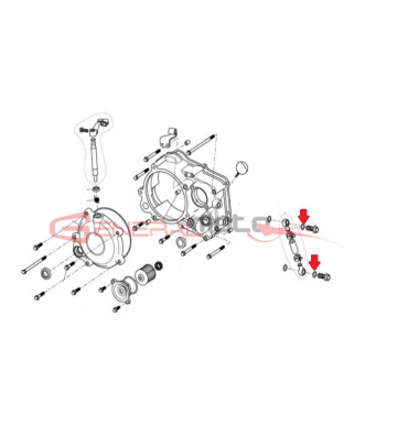 Guarnizione motore Ohvale 190/212 Daytona M10