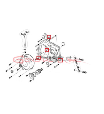 Pin motore Ohvale 190/212 Daytona 10x8.4x14