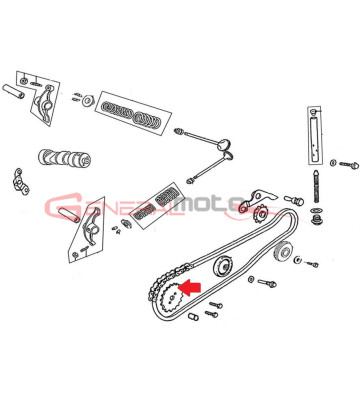 Corona distribuzione Ohvale 110 4S