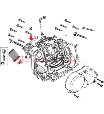 Coperchio filtro olio Ohvale 110 4S