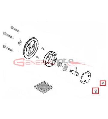 O-ring pompa olio Ohvale 110 4S