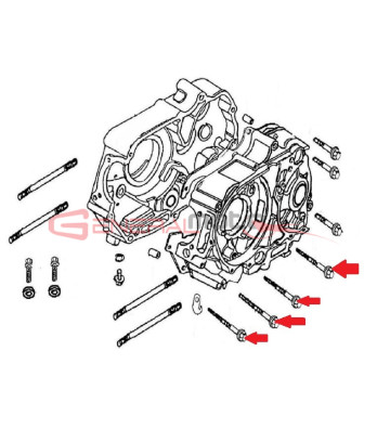 Vite motore M6x65 Ohvale 110 4S