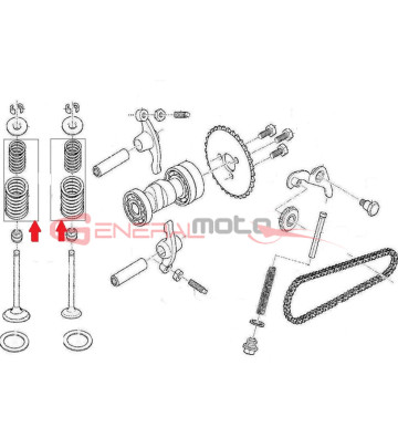 Molla interna + molla esterna valvole Ohvale 110 A ZS