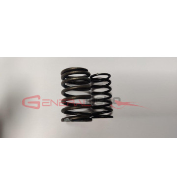 Molla valvola interna + esterna 110 4S ZS