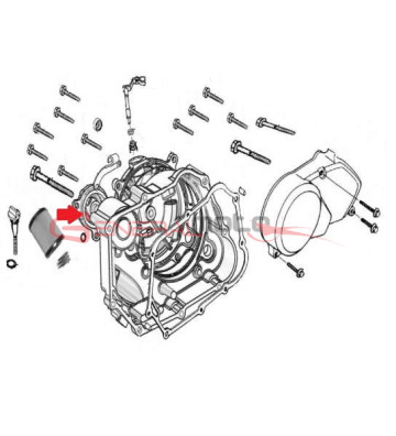 Oring tappo filtro olio