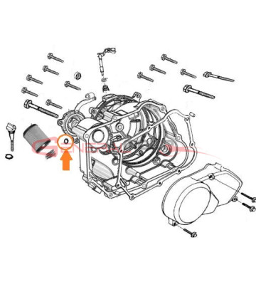 Or tappo filtro olio