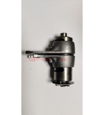 Desmodromico cambio 110 4s