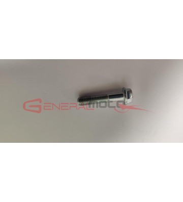 Vite flangiata M6x25 Ohvale 190/212 Daytona