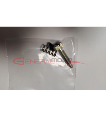 Kit vite reg. miscela minimo Dell'Orto PHBH 28