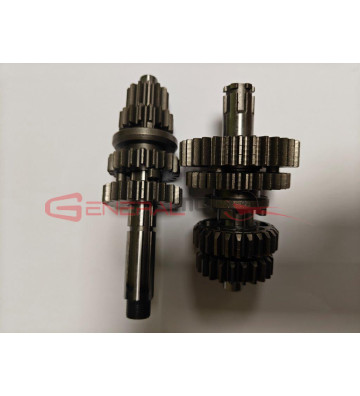 Kit cambio completo Ohvale...