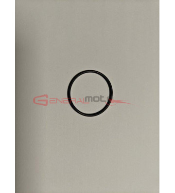 O-ring motorino avviamento...