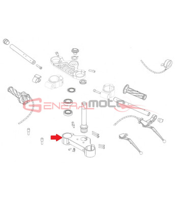 Piastra inferiore forcella