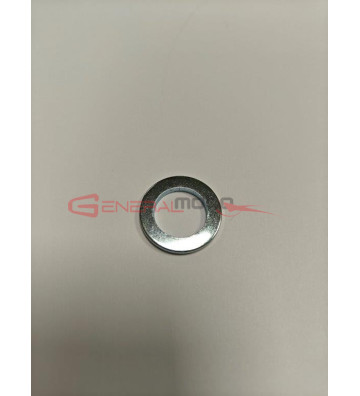 Rondella perno Ohvale GP-0