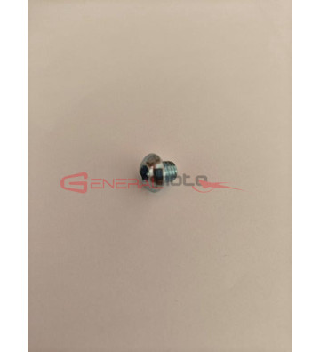 Vite fissaggio DB Killer...