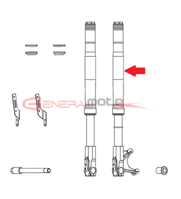 Stelo sinistro forcella...