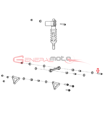 Vite speciale fiss. tirante...