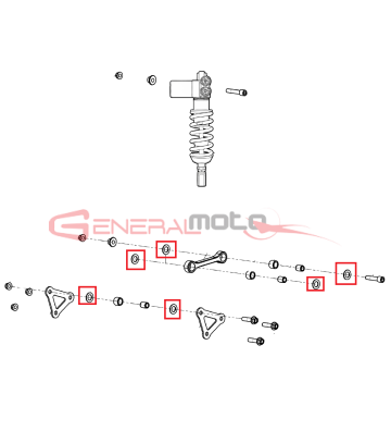 Oring 3056 nbr biellismo...