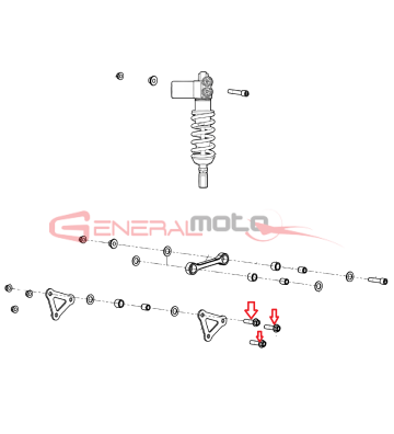 Vite TE Flang. sfer...