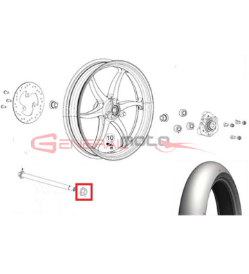 Dado perno ruota posteriore...