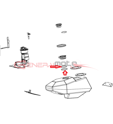 Or viton bocchettone...