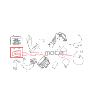 STAFFA SUPP. BOBINA...