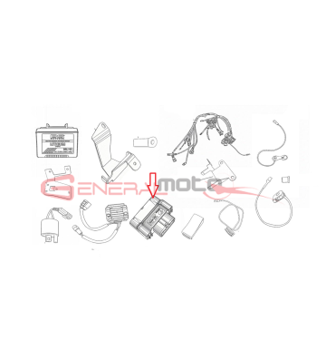 Centralina Dell'Orto...