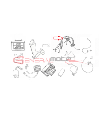 Impianto elettrico Ohvale GP-7