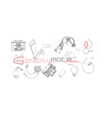 DISPOSITIVO SX 2-PULS...