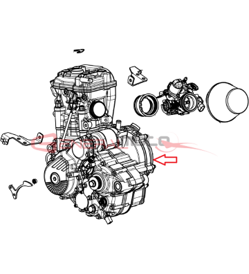 MOTORE OHVALE GP-7 250 z