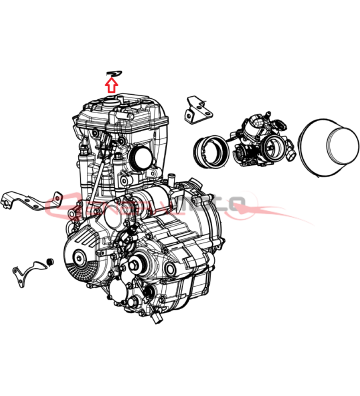 PIASTRINA FERMO PIPETTA...