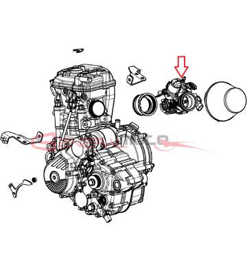 CORPO FARF. Dell'Orto- 46mm...