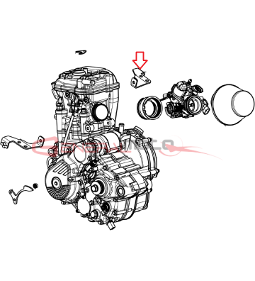 PIASTRA DX TESTA-TELAIO...