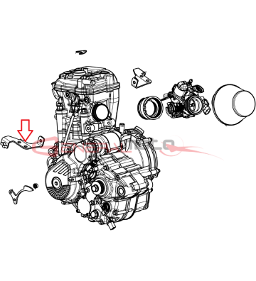 PIASTRA SX TESTA-TELAIO...