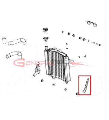 STAFFA FISS. INF. RADIATORE...
