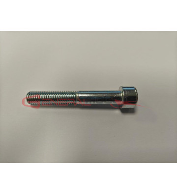 VITE FISSAGGIO PINZA FRENO...