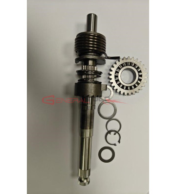 Assieme albero messa in...