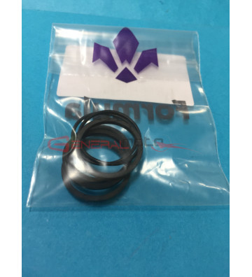 Kit o-ring pinza freno anteriore