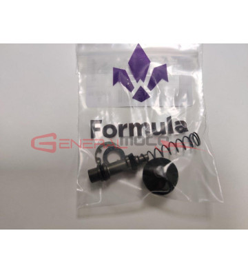 Kit pistone dx pompa freno anteriore