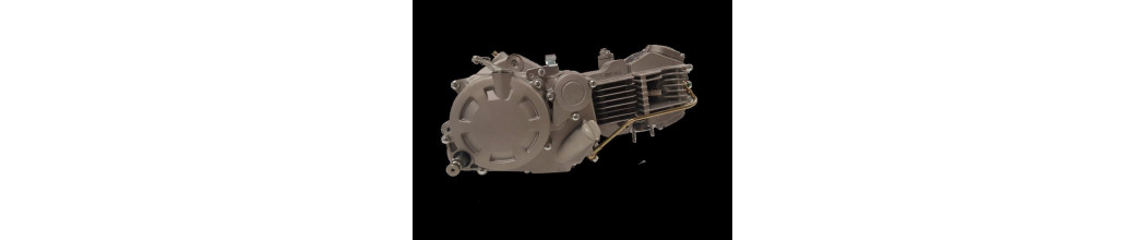 MOTORI COMPLETI/ATTREZZATURA GP-2