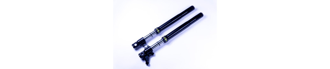 FORCELLA OHRACING