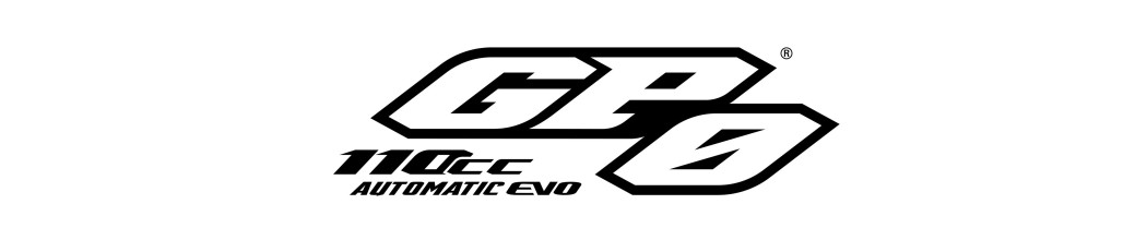 IMPIANTO ELETTRICO 110 AUTOMATICA